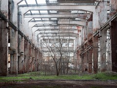 Abandoned plant