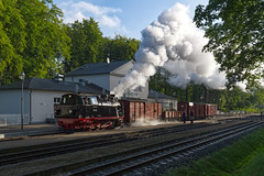 Schmalspurbahn / narrow gauge railway