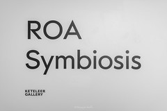 Expo ROA Symbiosis
