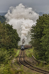 North Yorkshire Moors Railways 50th Anniversary Steam Gala 2023.