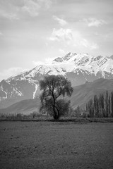 Kyrgyzstan in Black and White - 2023