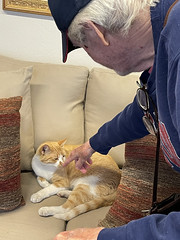Dad meets Pat the Cat