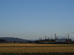Train and Rice Field