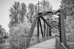 Cedar River Trail Bridge 2266-4