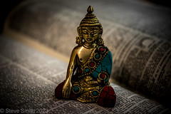Buddha in the Library