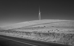 Shiloh wind farm