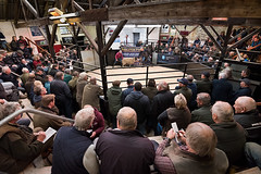 Annual Swaledale Ram Show & Sale, Middleton-in-Teesdale Mart, 11/10/23