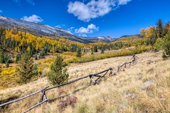 Colorado/New Mexico - Autumn 2023