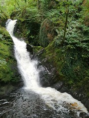 Dolgoch Falls, Merioneth