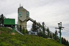 09-2023 加拿大 卡爾加里 奧林匹克滑雪場 教堂 樹林馬鹿 河畔