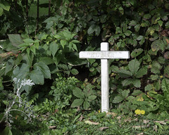Neally's Corner Cemetery - Hampden