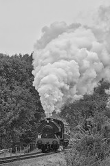Severn Valley Railway. Autumn Steam Gala. 2023.
