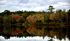 Fall Colors Of New England