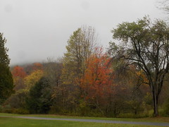 October 17, 2023: Drive Home From Allegany State Park
