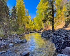 Piedra Falls Trail -San Juan National Forest, Colorado, USA