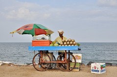 INDIA: Tamil Nadu & Kerala