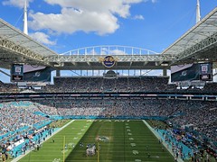 Miami Dolphins / NFL / UConn