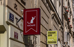 Kockafé Freya - Prague (Café chats)