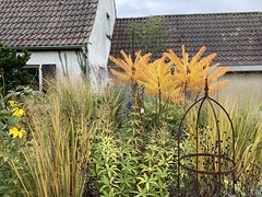 Tiny Schaugarten - Herbst