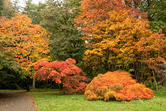 Thorpe Perrow Arboretum.