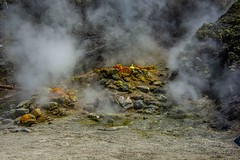 Phlegraean Fields - the volcano Salfatara - Italy