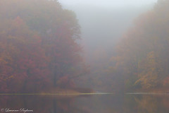 Misty autumn Lake Ohrbach, Pouch Camp, Greenbelt - Staten Island, New York