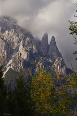 Fiera di Primiero. Trentino. Italia.