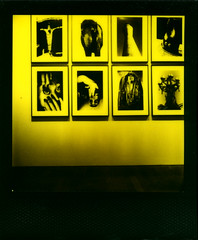 Polaroid Yellow