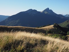 Mont Pelat - mont Morbié