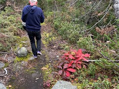 Halifax area hikes