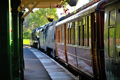 Bluebell Railway Giants of Steam 2023