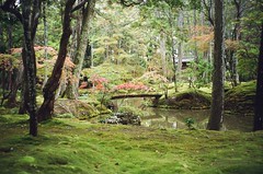 Saihō-ji (Koke-dera) Temple, Moss Garden, Kyoto, Japan [Complete, film + digital] - November 2023