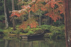 Japan on Film: Saihō-ji (Koke-dera) Temple, Moss Garden, Kyoto, Japan - November 2023