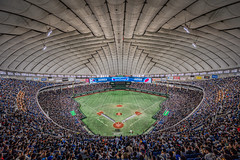 Samurai Japan vs. Team Korea at Tokyo Dome, November 2023
