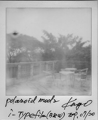 Polaroid I-type B&W film