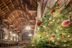 The Christmas Tree Festival at Chester Cathedral (2023)