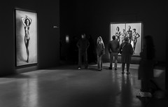 Exposición Helmut Newton A Coruña 2023