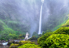Coban Pelangi Waterfall