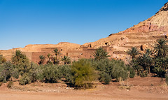 Ait Benhaddou - Atlas Mountains - Morocco 2022