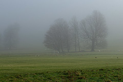 Mist and fog