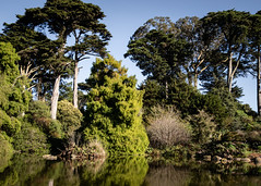 San Francisco Botanical Garden 2023