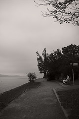 Lake Constance cold & misty Oct 23
