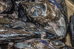 Madeira - Funchal - Fish Market