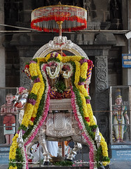 Pradosham Celebrations  (10-12-2023)