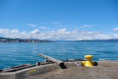 Wellington shoreline