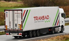 Transad transport spedycja logistyka