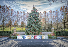 longwood christmas 2023