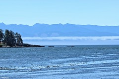 2023 trip to Vancouver Island