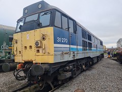 Class-31's (2023)