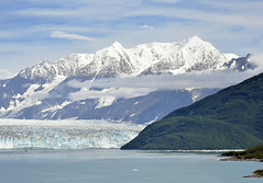 Cruising the Hubbard Glacier [2023]